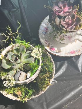 10/3/23 @ 7pm Spooky Succulent Terrarium w/ Paint & Create Delaware