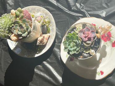 10/3/23 @ 7pm Spooky Succulent Terrarium w/ Paint & Create Delaware