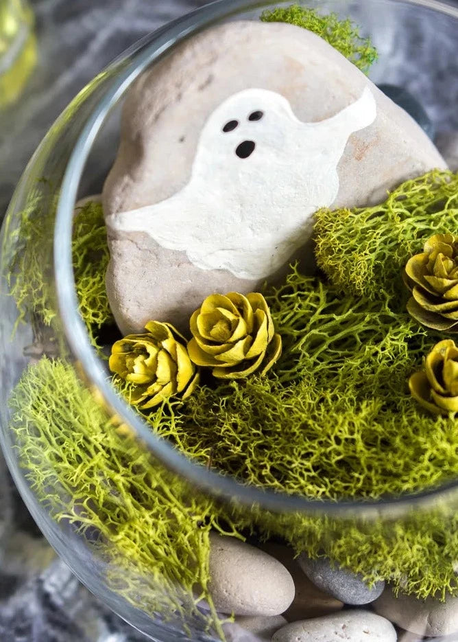 10/3/23 @ 7pm Spooky Succulent Terrarium w/ Paint & Create Delaware