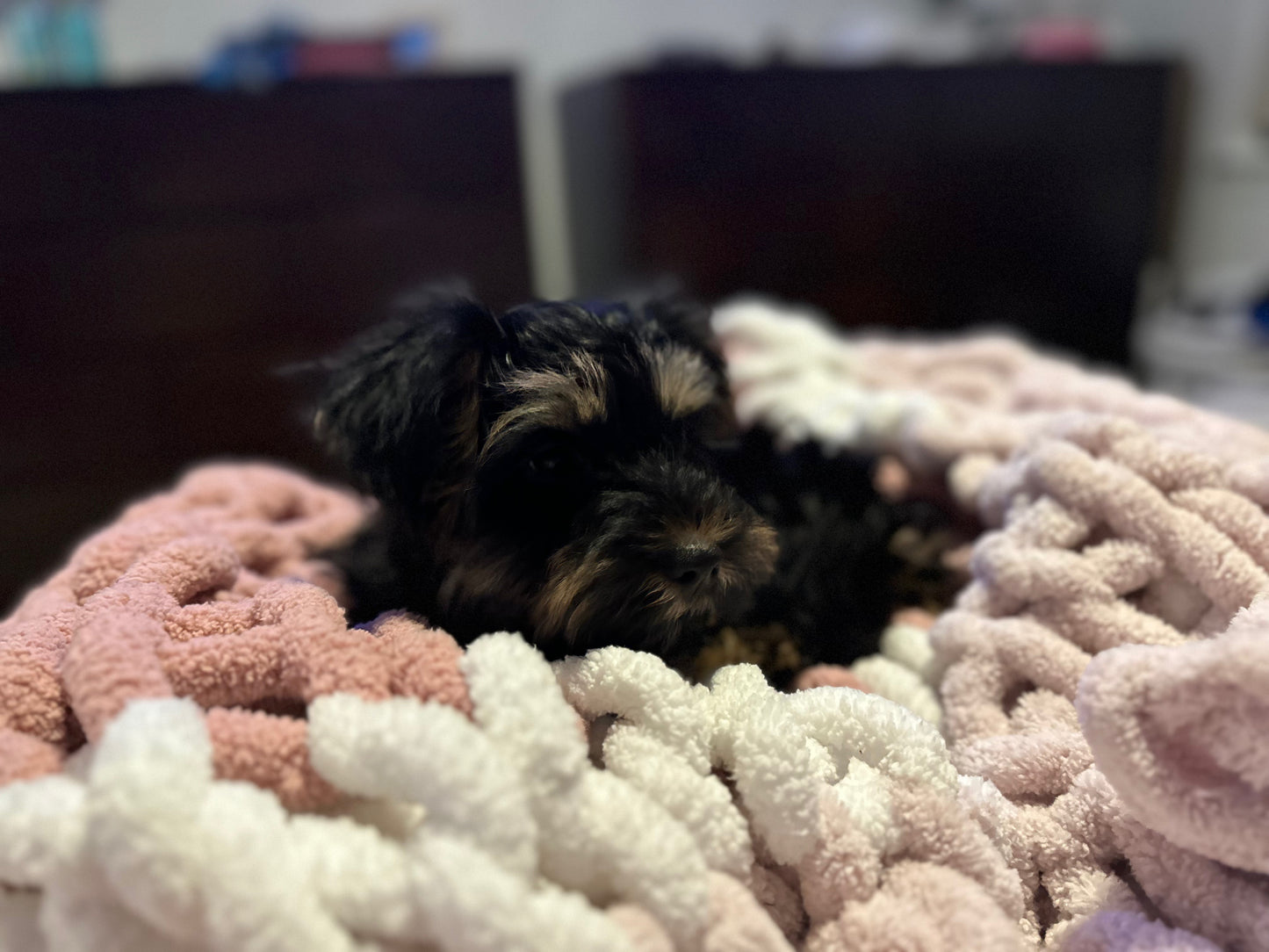 9/23/23 @ 12pm - Cozy Knit Blankets