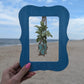 5/1/25 @ 5:30 Hangin' with My FERNS Workshop